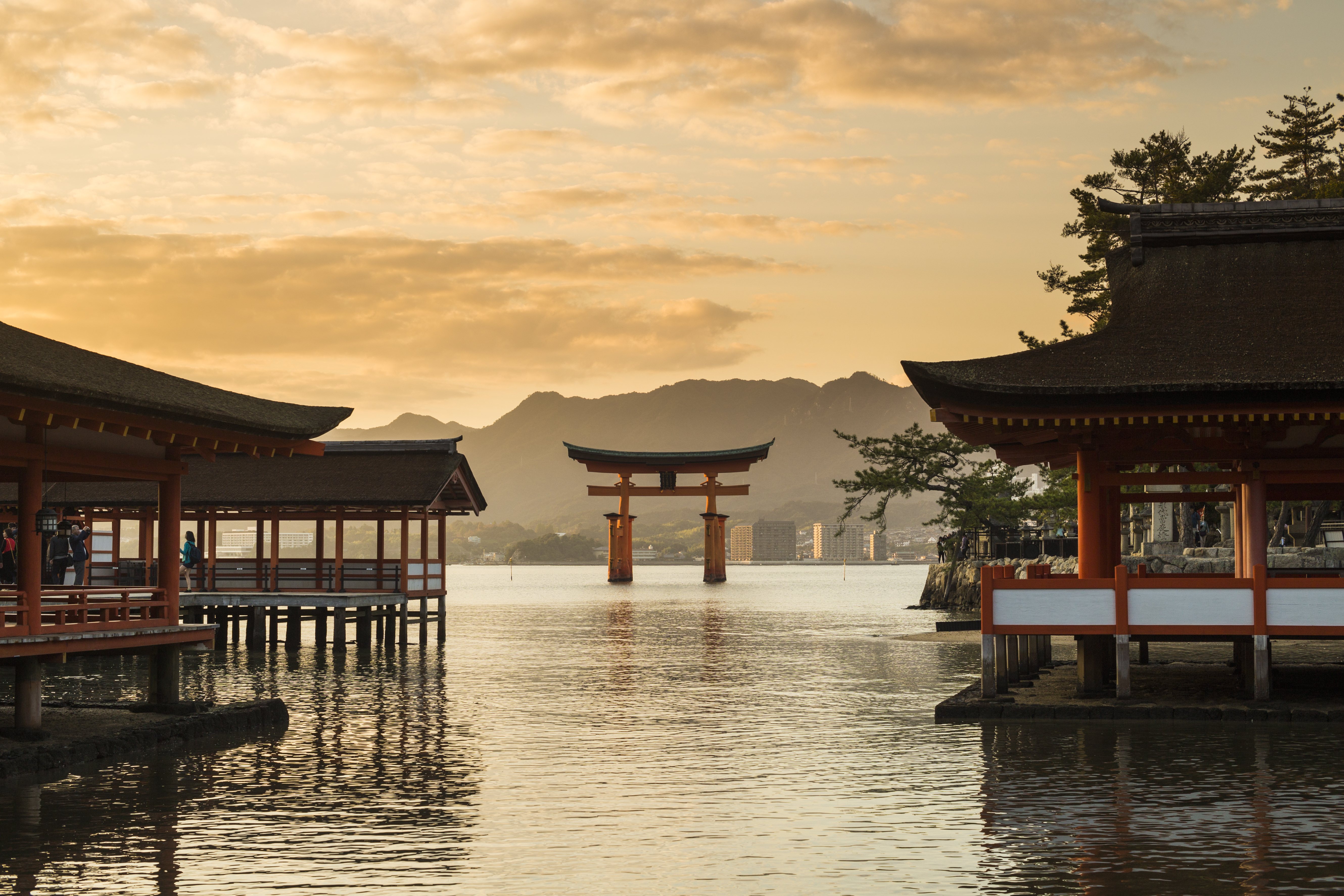 Deadline to Apply for the Japan Cultural Experience & History Program