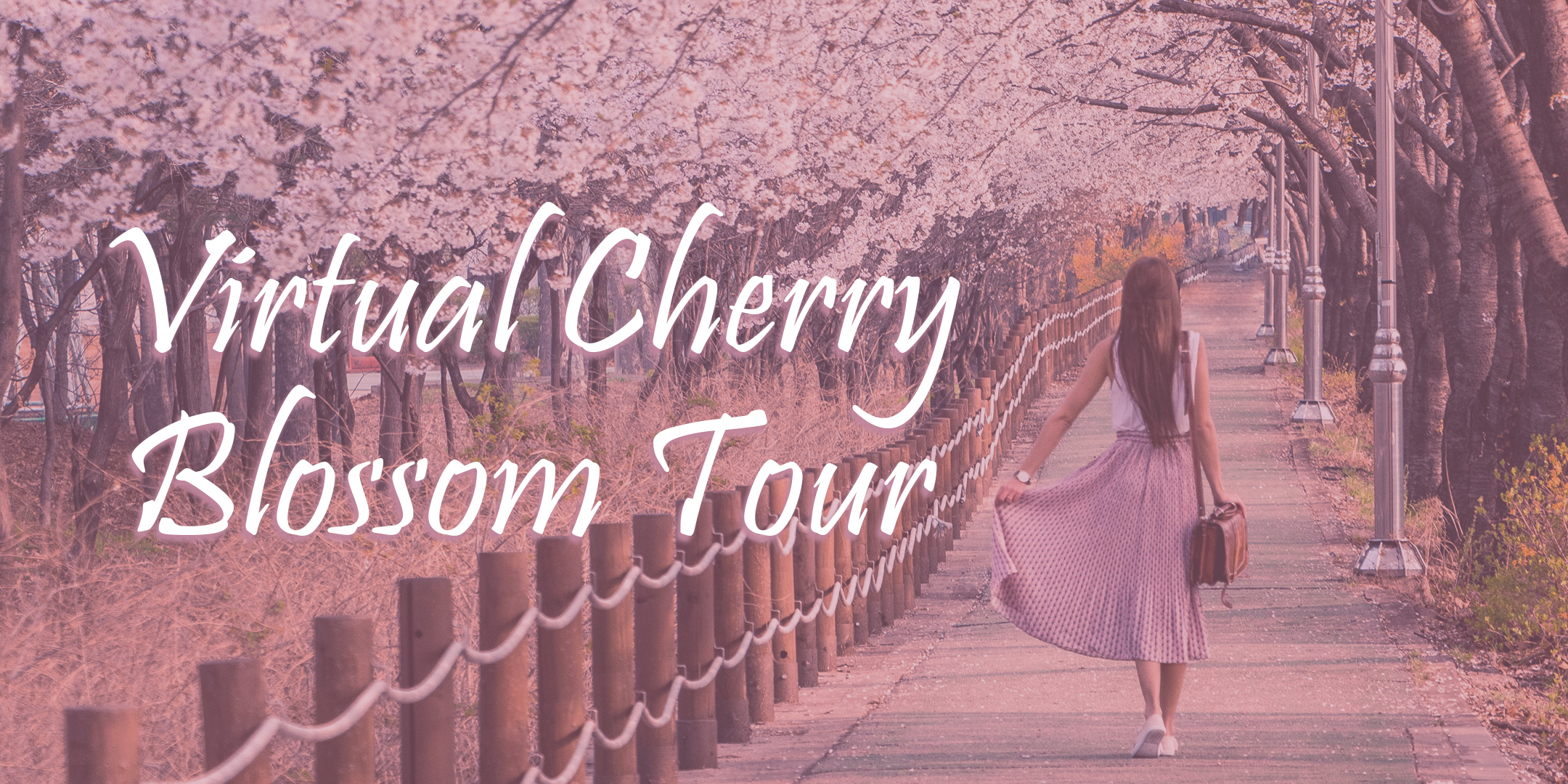 Virtual Cherry Blossom Festival- Tickets on Sale Now!